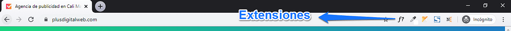 Extensiones google chrome web